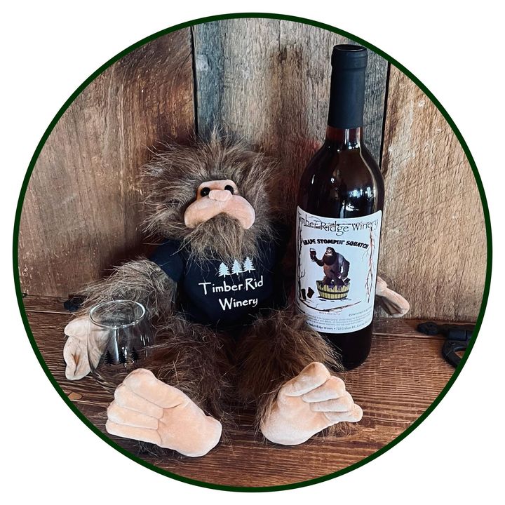 404311196 1062518728437349 3005245819935443183 n 1.jpgstpdst jpg s720x720 nc cat109ccb1 7 nc sid6de708 nc ohcXB Lw6SXWR8Q7kNvgHDD2BV nc htscontent lga3 2 1