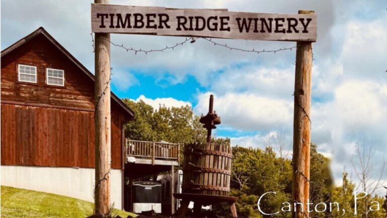 Timber Ridge Winery Canton 1 768x432