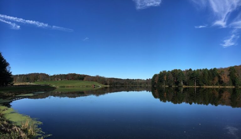 Mt. Pisgah Troy 2 768x444