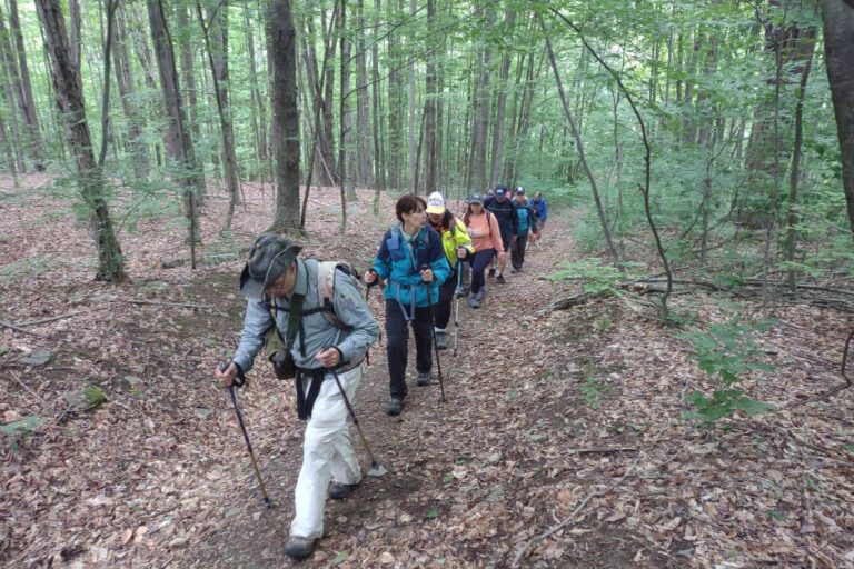 Small Business Support Hikes Historic Barclay Mountain 768x512