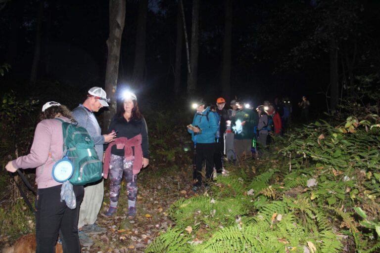 Small Business Support Hikes Mt. Pisgah State Park Night Hike and Telescope Tour 768x512