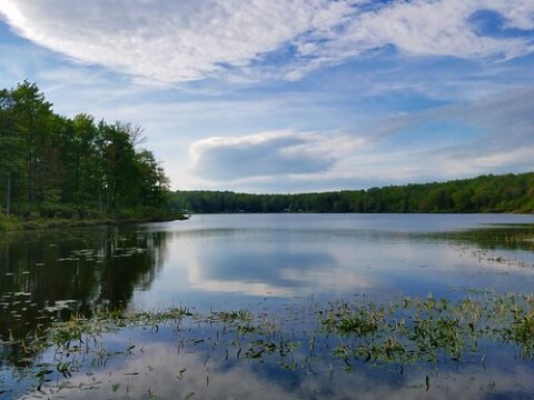 Sunfish Pond County Park | Canton PA - Bradford County Tourism ...