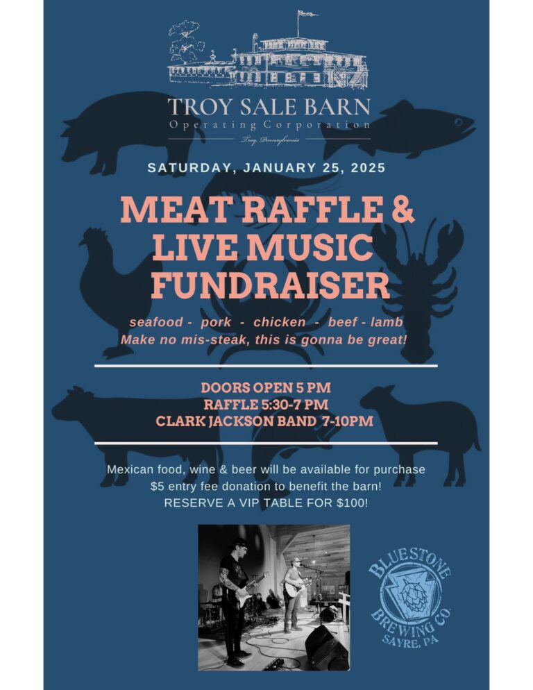 Troy Sale Barn Bluestone and Meat Fest Troy 1 768x994