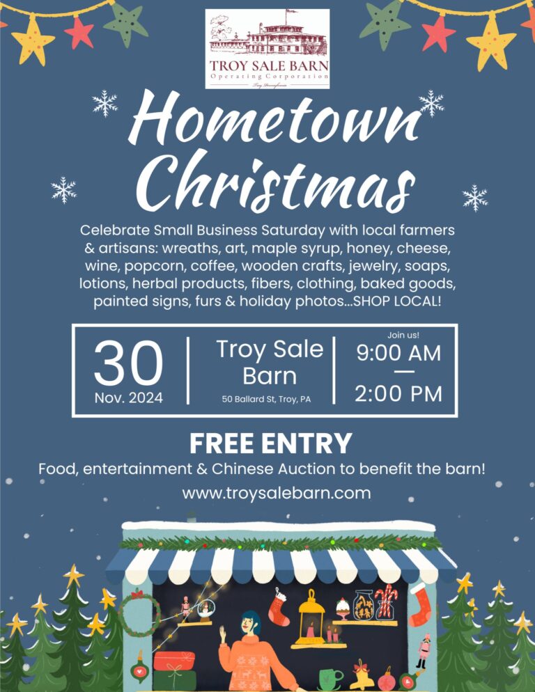 Troy Sale Barn Hometown Christmas Troy 1 768x994