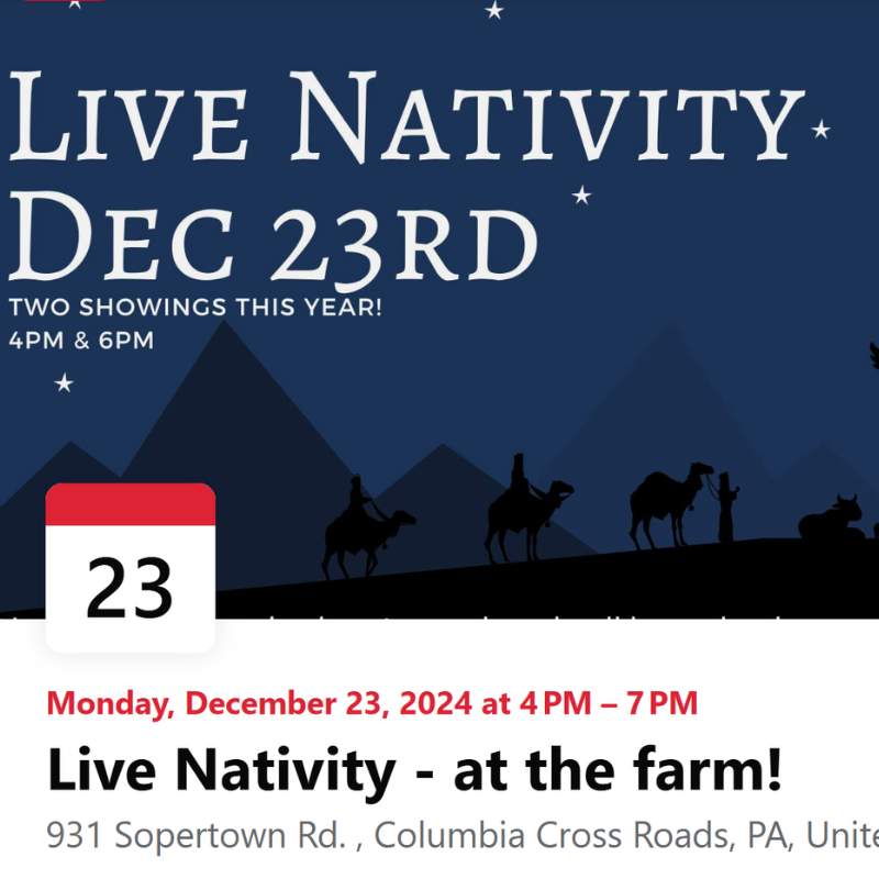 23 live nativity