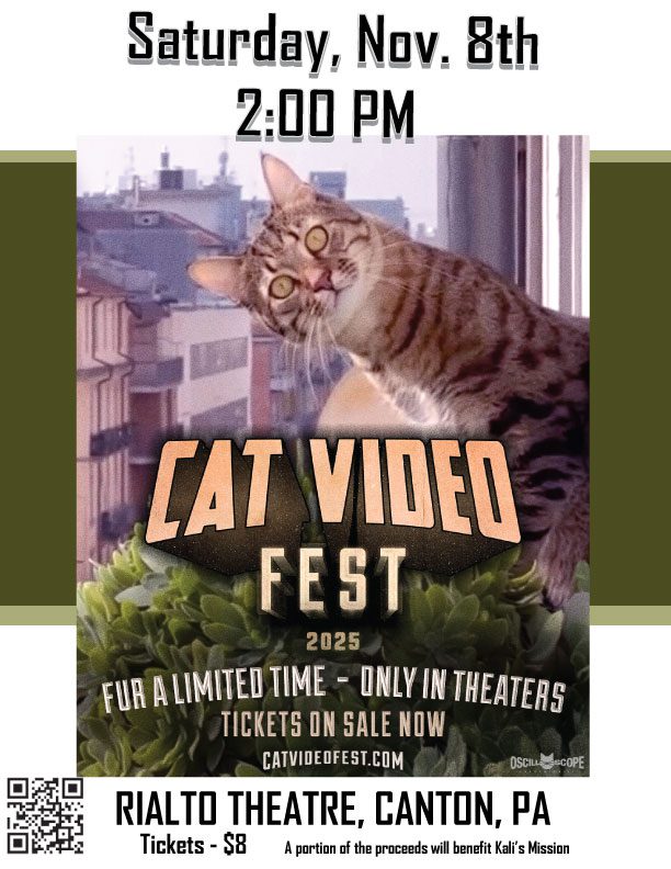 Cat Video Rialto Poster 1