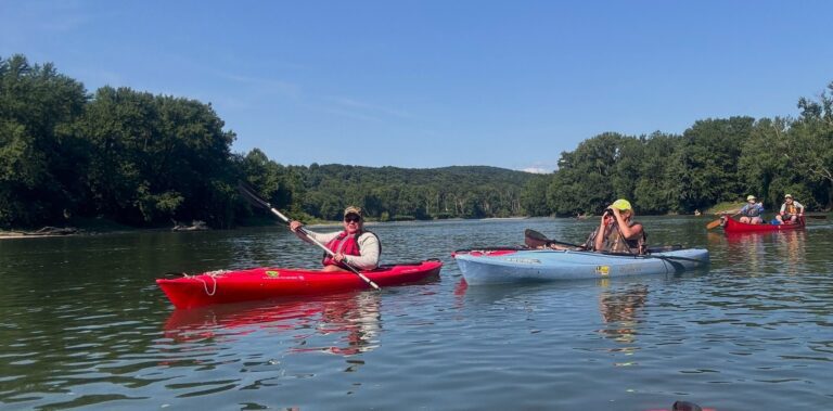 North Branch Sojourn 1 768x379