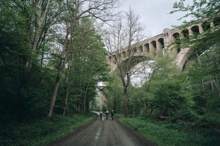 endless bradford 1 768x511