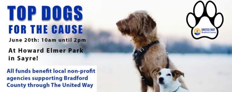 top dogs for the cause 768x304